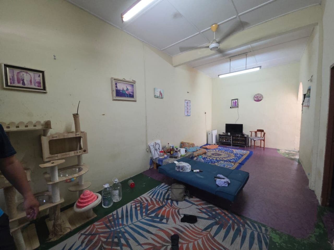 Single Storey House 美景花园 3