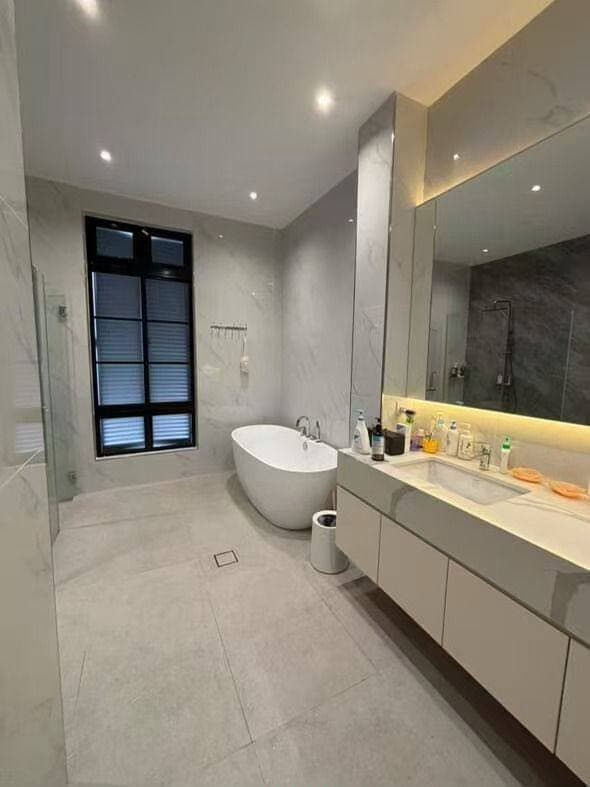 2.5 Semi-D The chateau @ Eco botanic 3