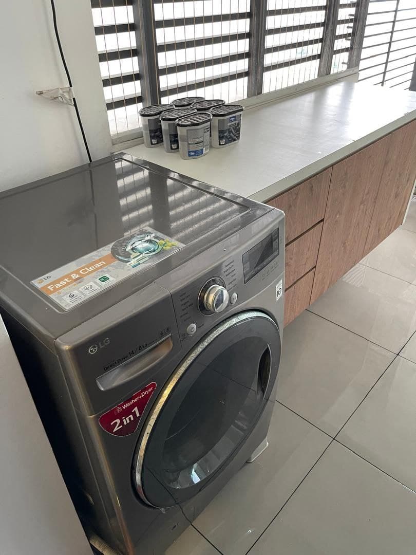 Type B Molek Pine 4 8