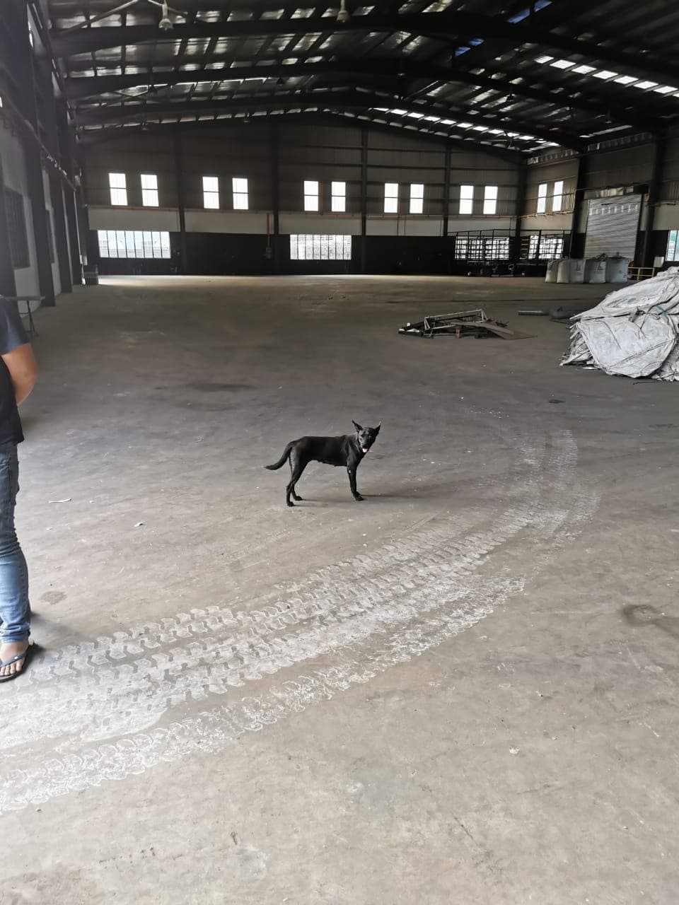 Detached Factory Pasir Gudang 2