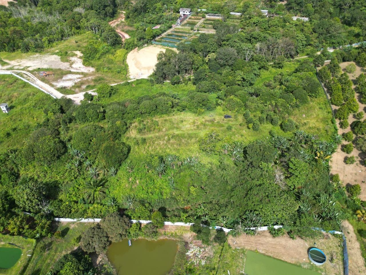 Agricultural Land Kangkar Pulai 3