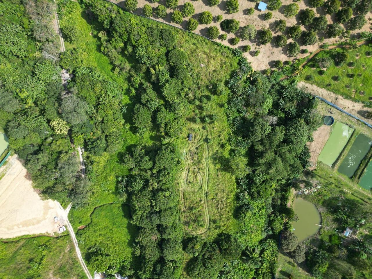 Agricultural Land Kangkar Pulai 4