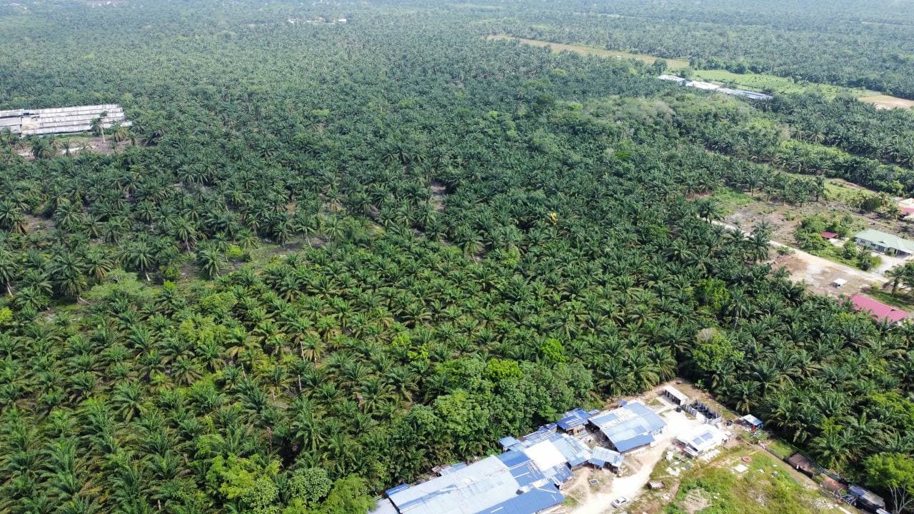 Agriculture land Taman Pontian Perdana 2
