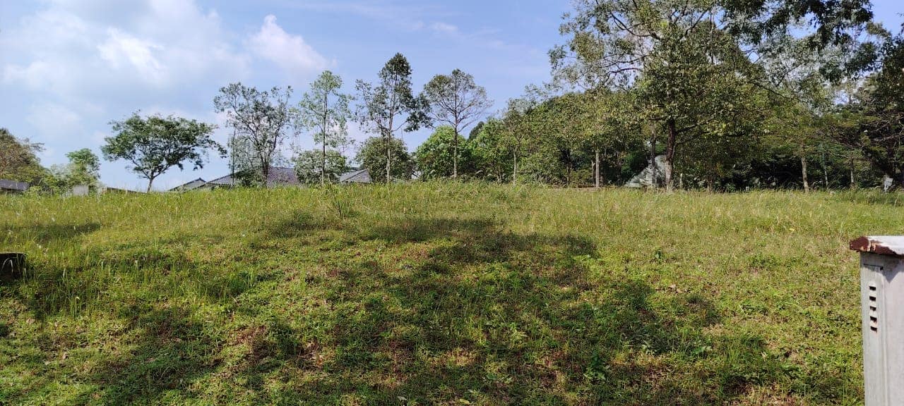 Residential Land Bayou Grove, Leisure Farm – photo 1