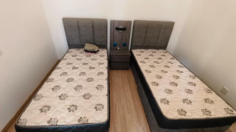 ★Exclusive★
For Sell (SP36271208)
Forest City Star… – photo 1