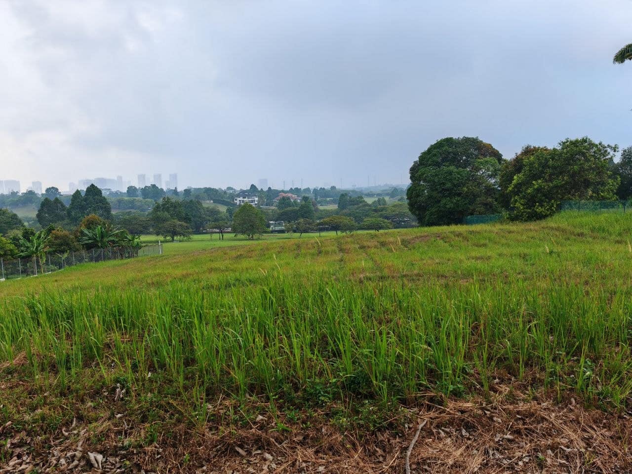 WTS
Leisure Farm land
Size:45,563sf(1acre)
Merbok … – photo 1