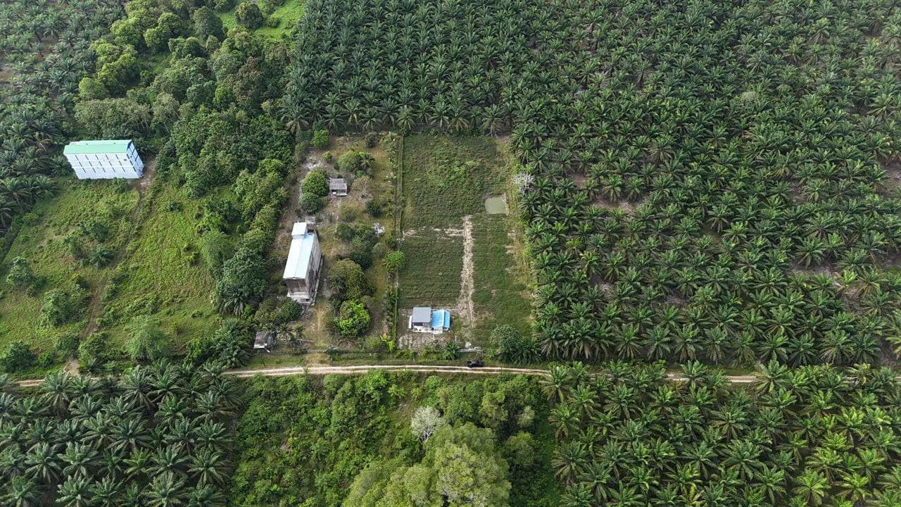 Agricultural Land Kota Tinggi Sedili Besar – photo 1
