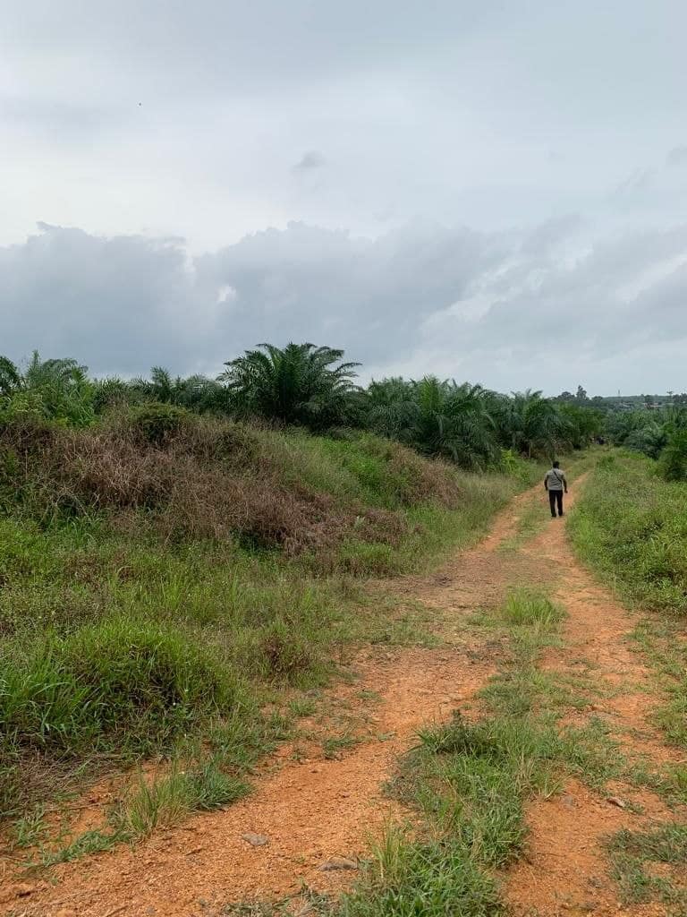 Agriculture Land Kota Tinggi – photo 1
