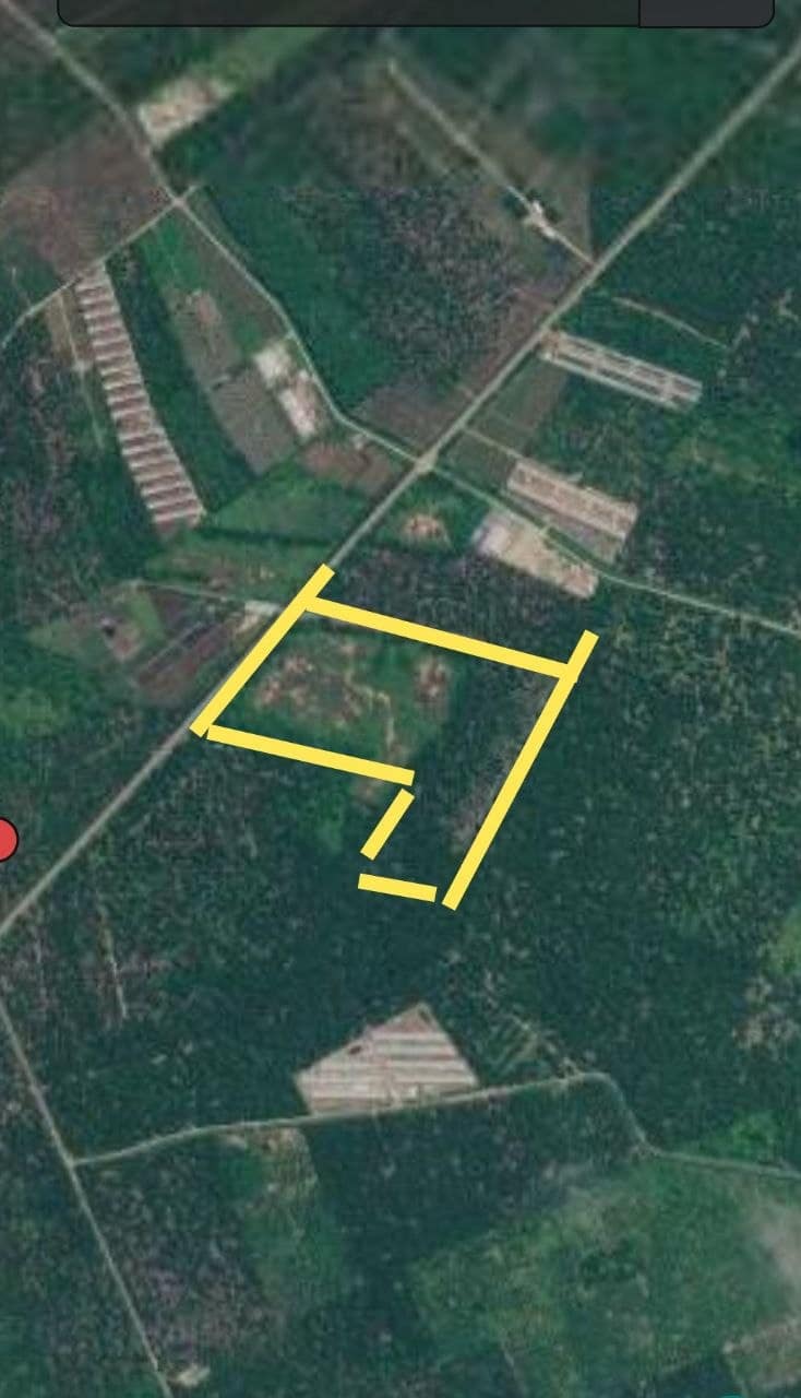 Agriculture Land Pontian โ photo 1