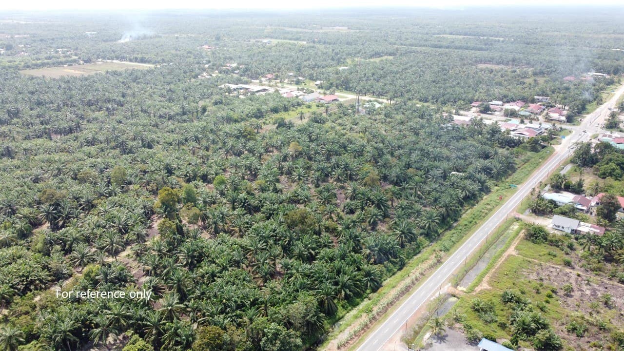 Agriculture Land Jalan Madirono, Benut, Pontian – photo 1