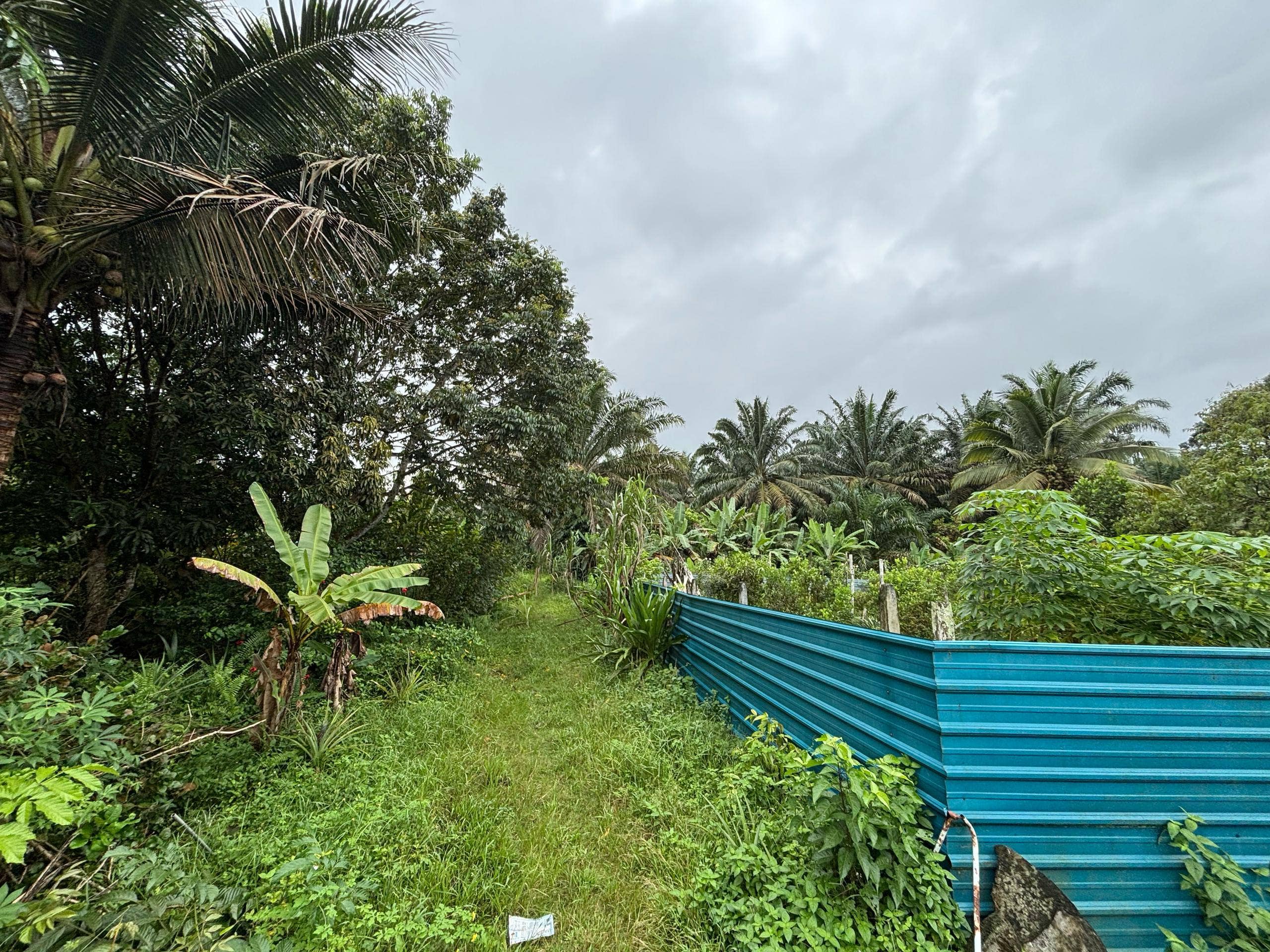 Land Kelapa Sawit – photo 1
