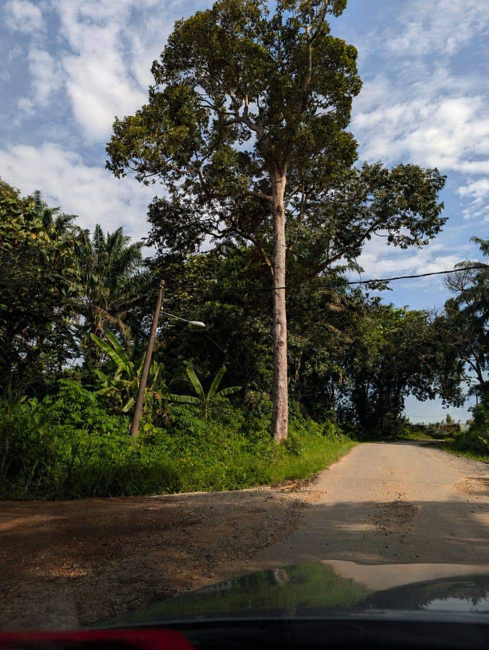 Agriculture Land Sungai Mincho