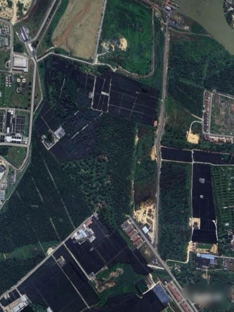 Land Kota Tinggi – photo 1