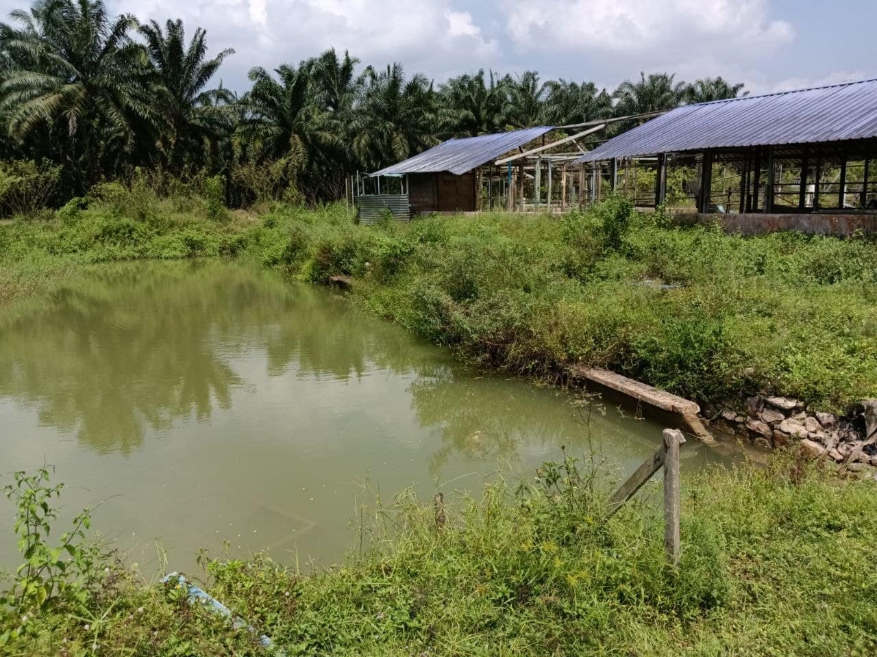 Agriculture Land Sungai Tiram – photo 1