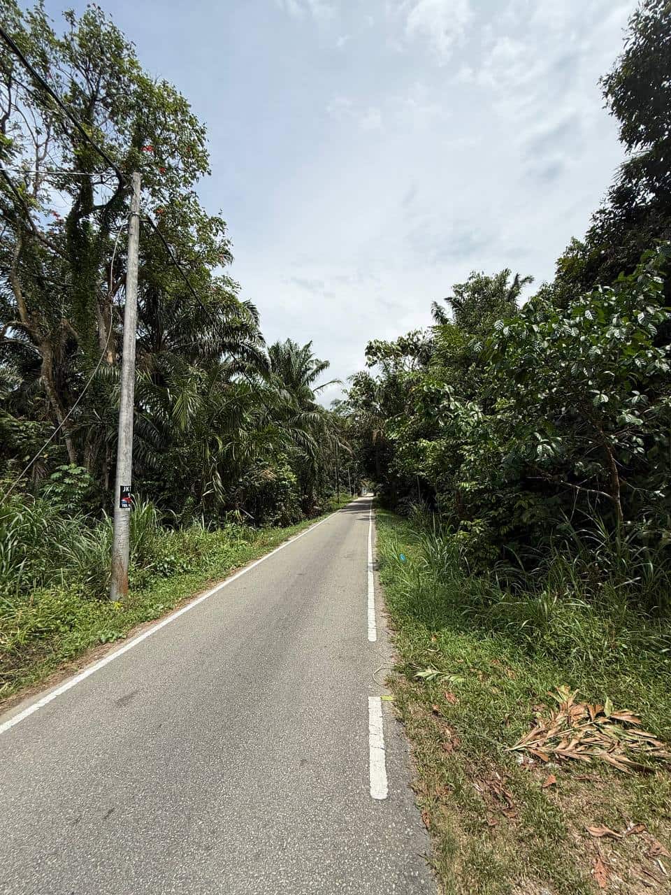 Land Ulu Tiram