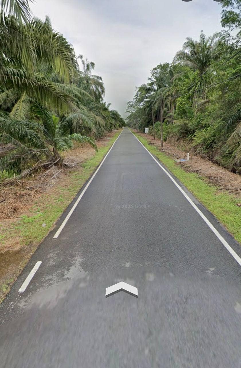 Agriculture Land (Pertanian - Kelapa Sawit) Pontian – photo 1