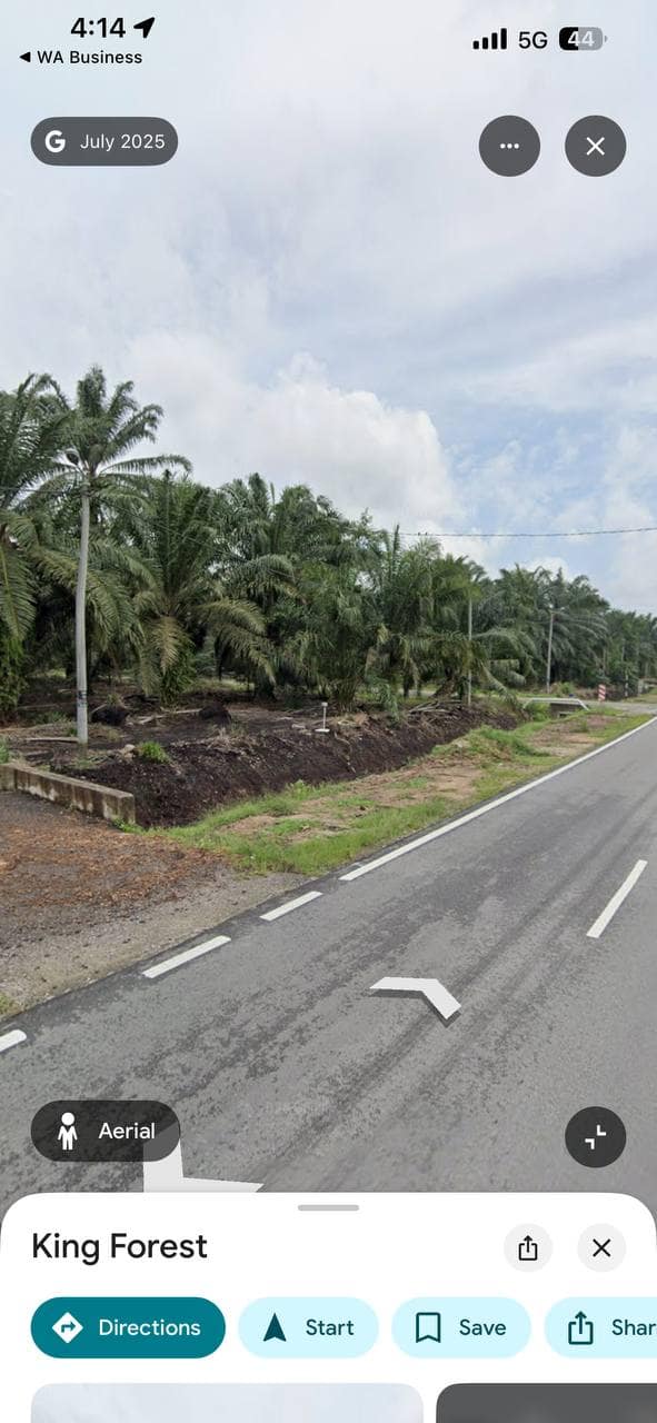 Agriculture Land (Pertanian - Kelapa Sawit) Pontian – photo 1