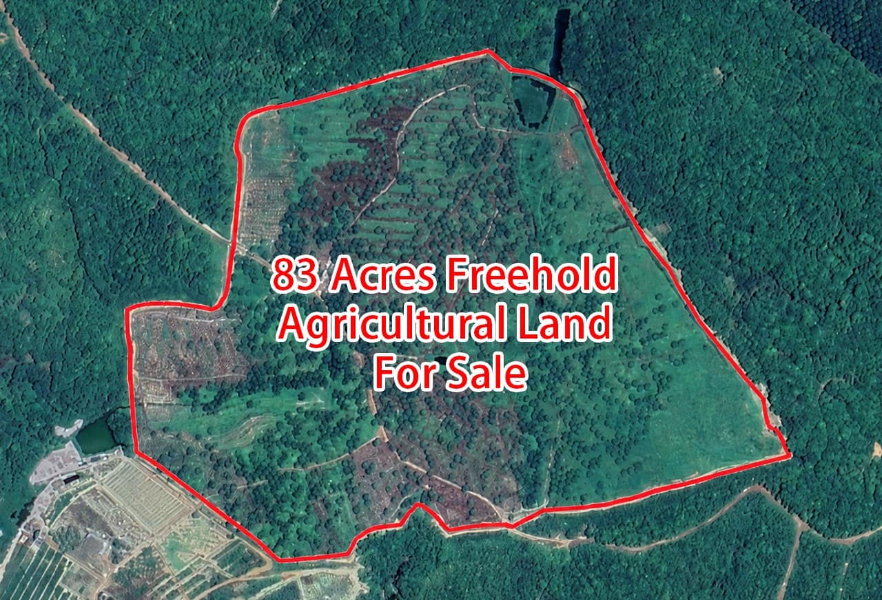 Agricultural Land Kota Tinggi – photo 1