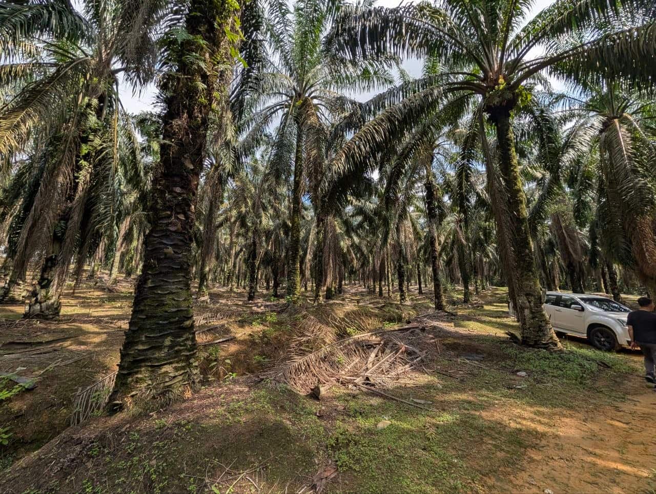 Light Industrial Land Air Bemban