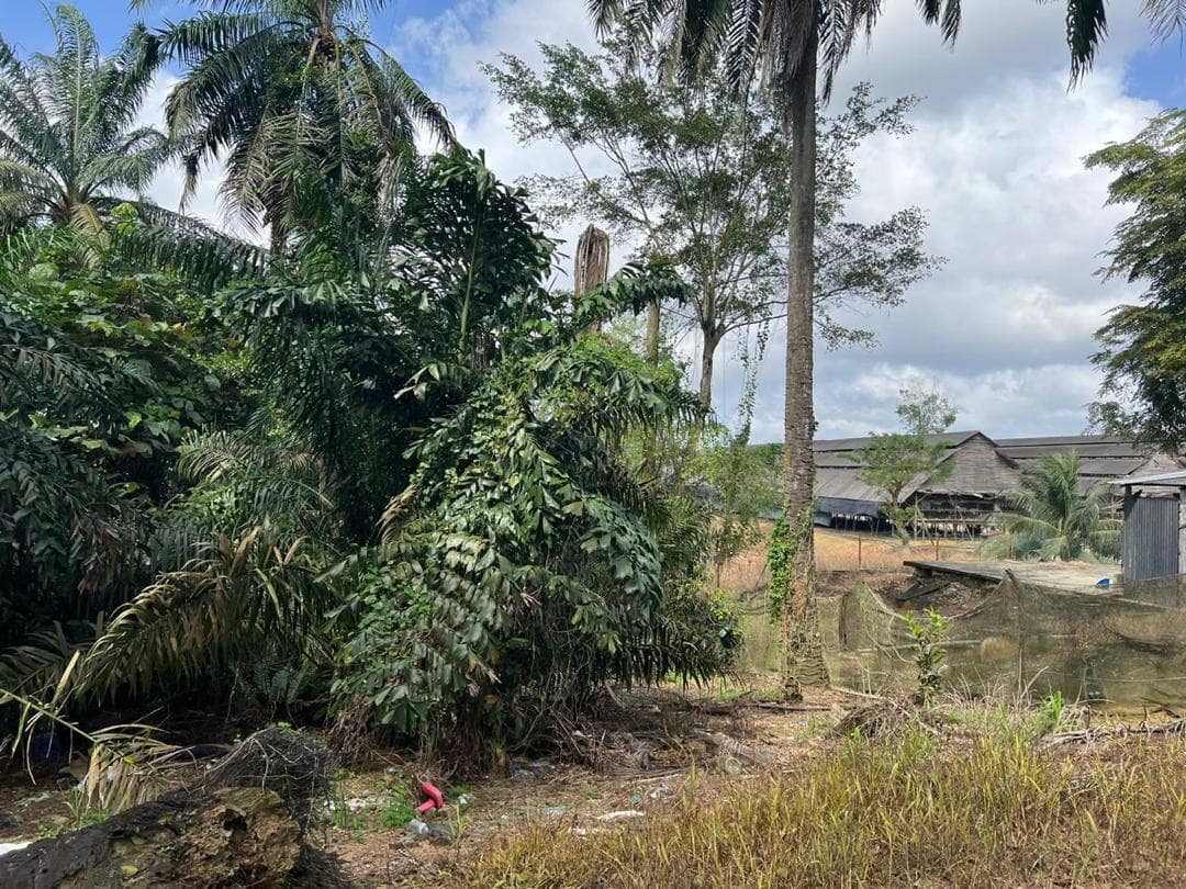 Agriculture Land Saleng – photo 1