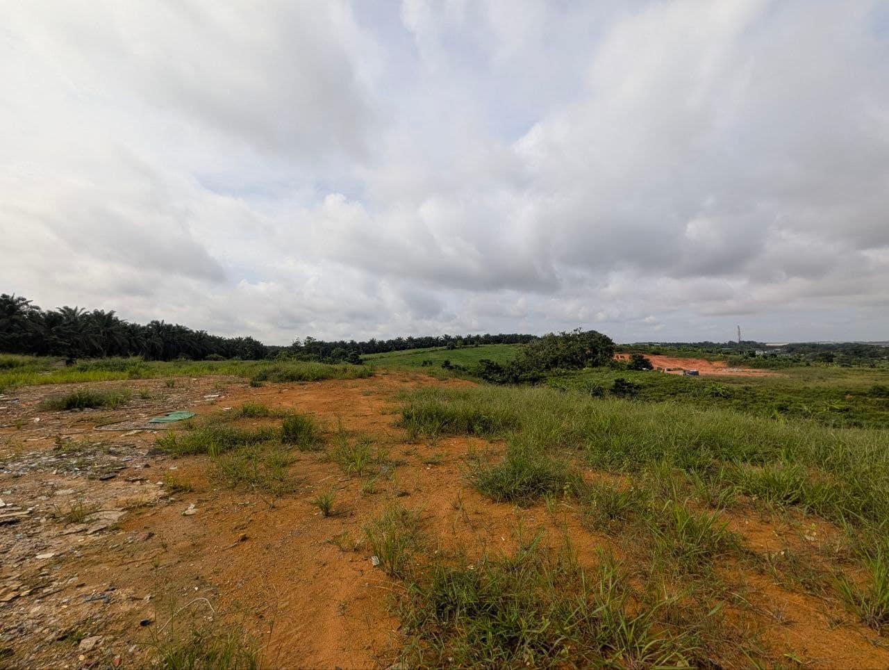 Agriculture Land Seelong Senai – photo 1