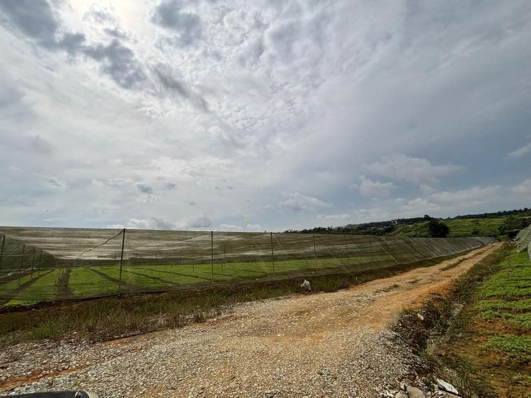 Agriculture land Seelong – photo 1