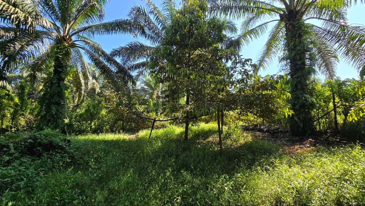 Land Desa Perindustrian Kulai 2