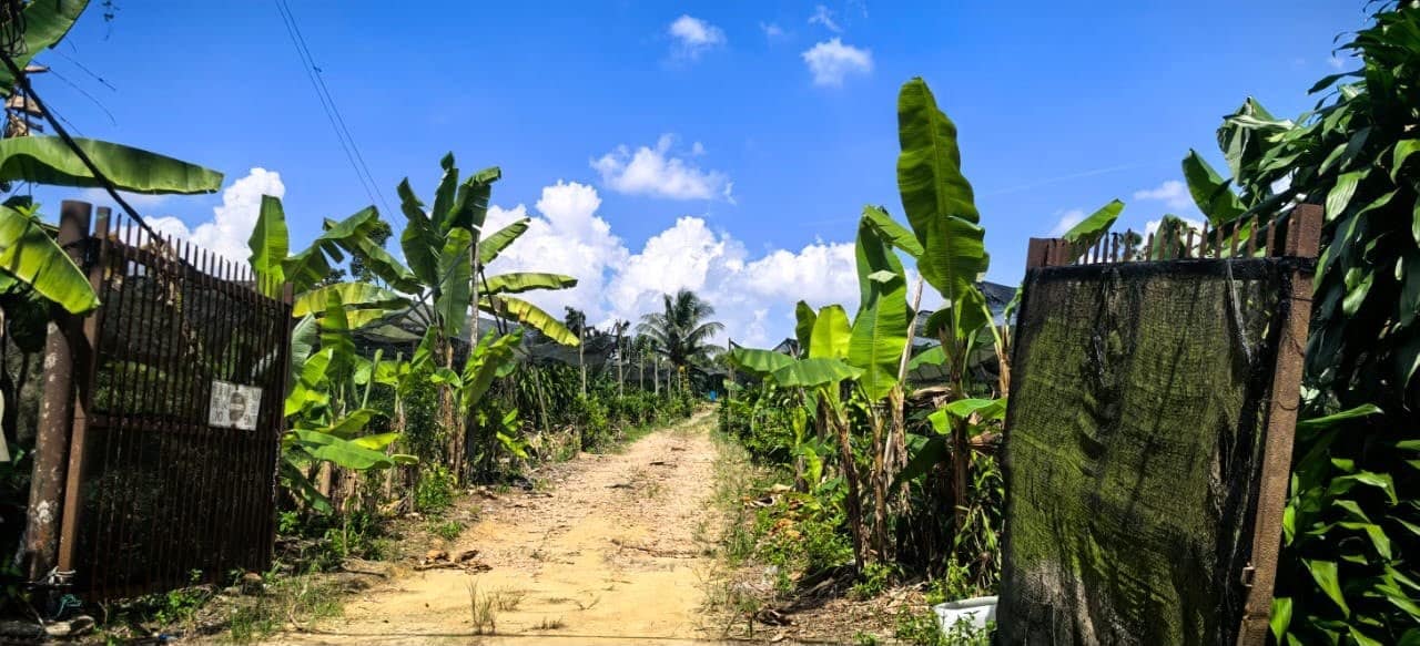 Agriculture Land Ban Foo Ulu Tiram โ photo 1