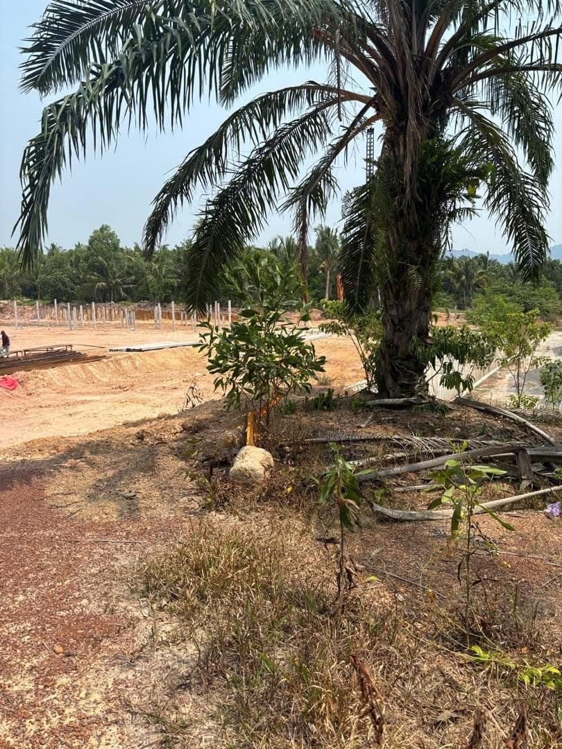 Agriculture Land Tangkak – photo 1