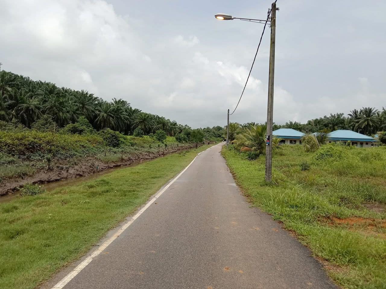 Agriculture Land Tanjung Kupang – photo 1